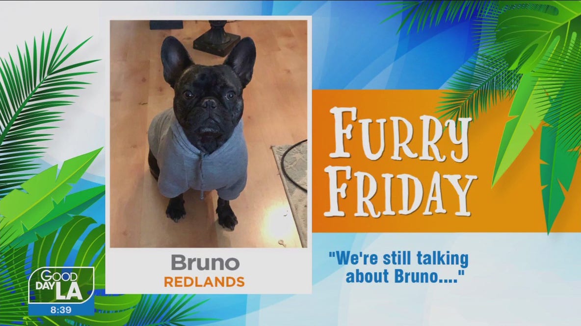 Furry Friday: Jan. 6, 2023