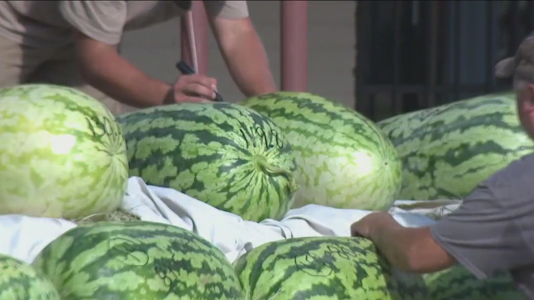 McDade Watermelon Festival and Parade FOX 7 Austin McDade Watermelon Festival and Parade FOX 7 Austin