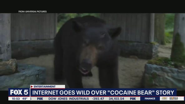 What's the true story behind "Cocaine Bear?"