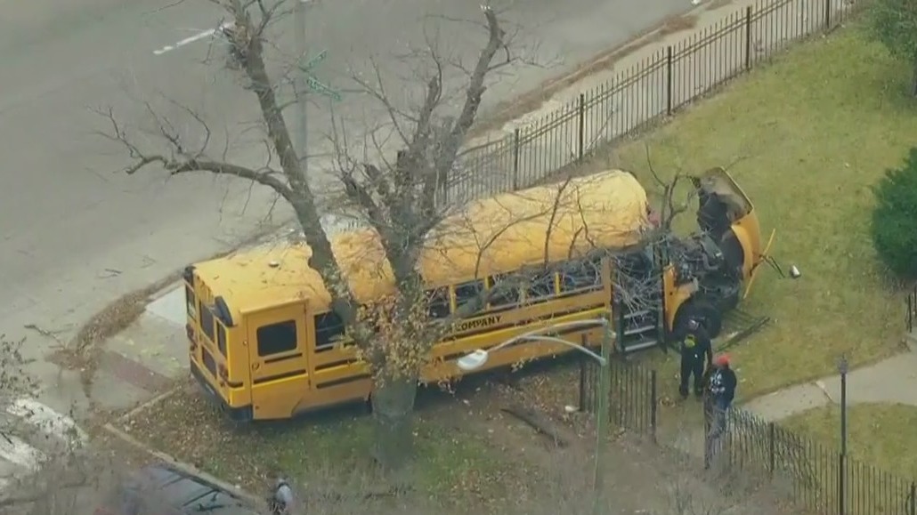 School bus crashes into yard in Chicago's Gresham neighborhood