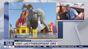 Lucy the Elephant celebrates 142 years