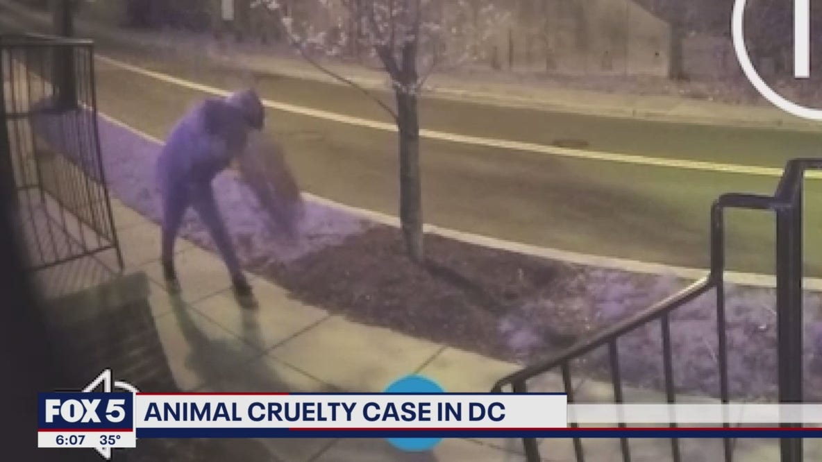 Animal cruelty case in DC