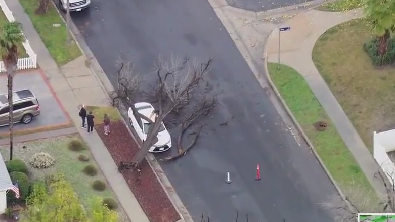 Tree falls on parked car in Woodland Hills