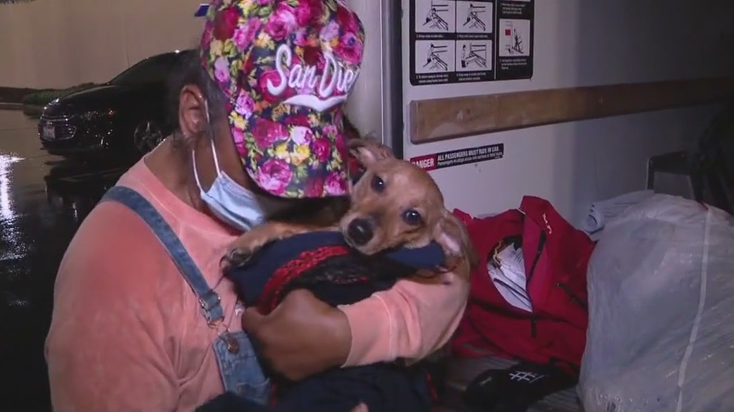 Rescuing dogs from Skid Row