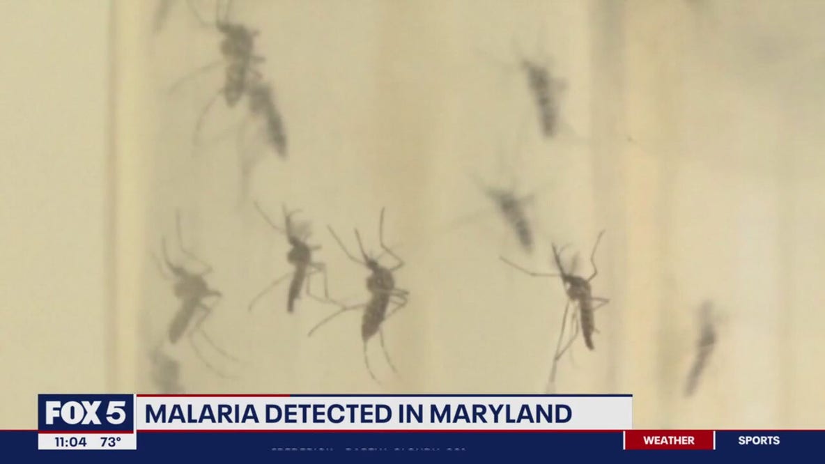 Malaria detected in Maryland