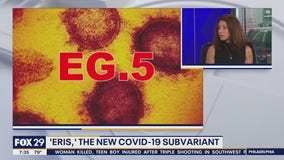 COVID cases on the rise as new subvariant 'Eris' emerges