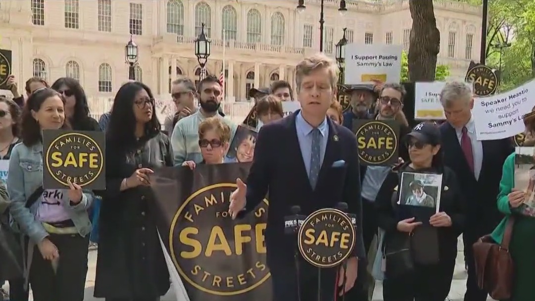 'Sammy's Law' supporters push for lower speed limits in NYC