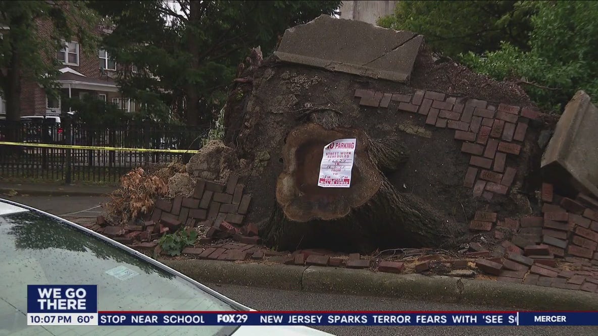City to remove tree stump that uprooted sidewalk after 2 months of complaints from neighbors