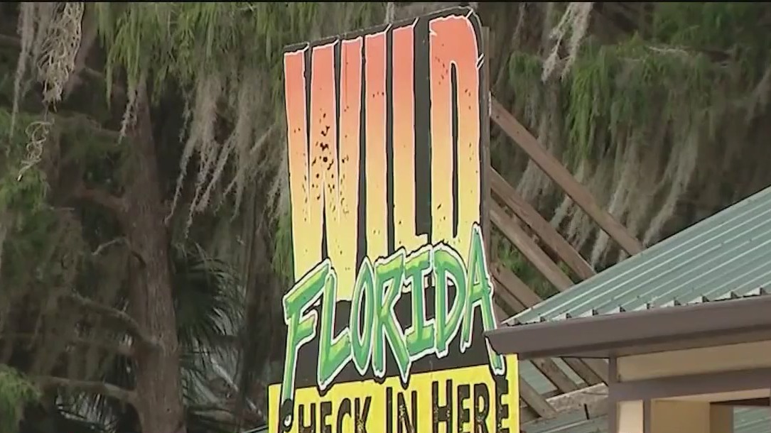 Wild Florida airboat tours resume