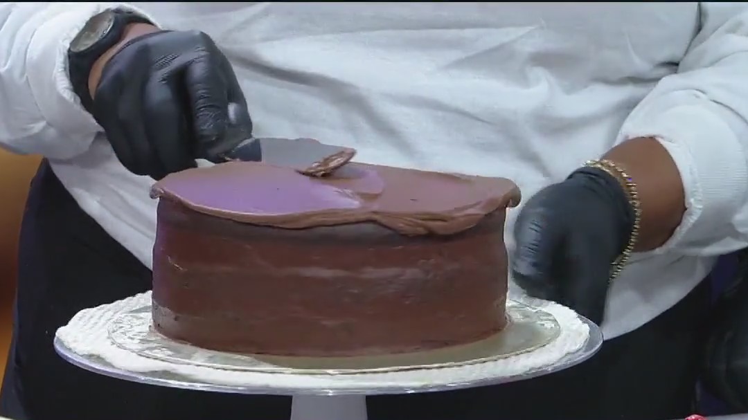 Celebrating National Chocolate Cake Day with Any Mini Dessert Cakes