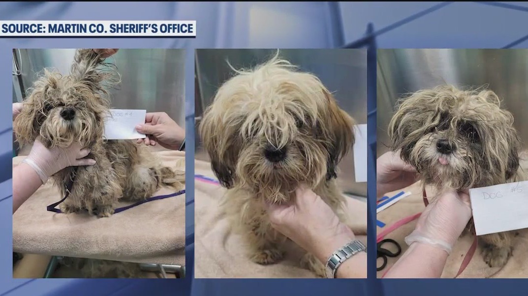 Woman dumped 9 dogs into the woods