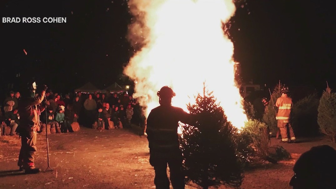 NJ bans Christmas tree bonfires FOX 5 New York