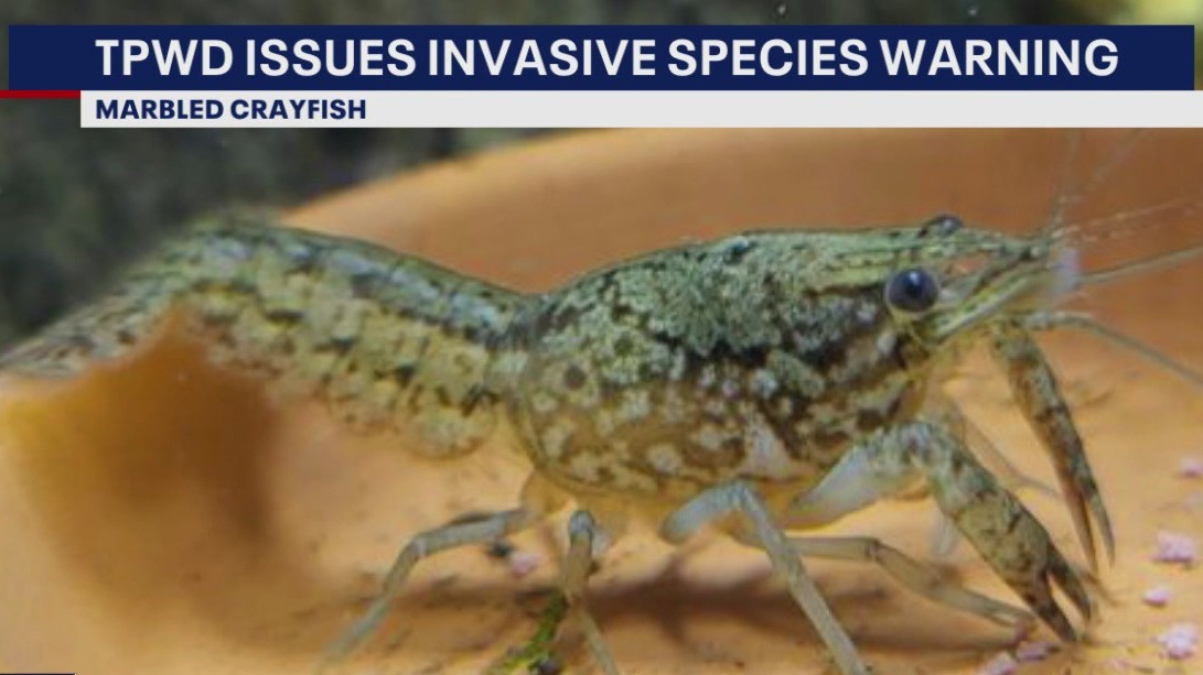TX Parks & Wildlife warns of invasive species