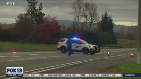 Crash involving multiple cows shuts down US 2 between Snohomish and Monroe