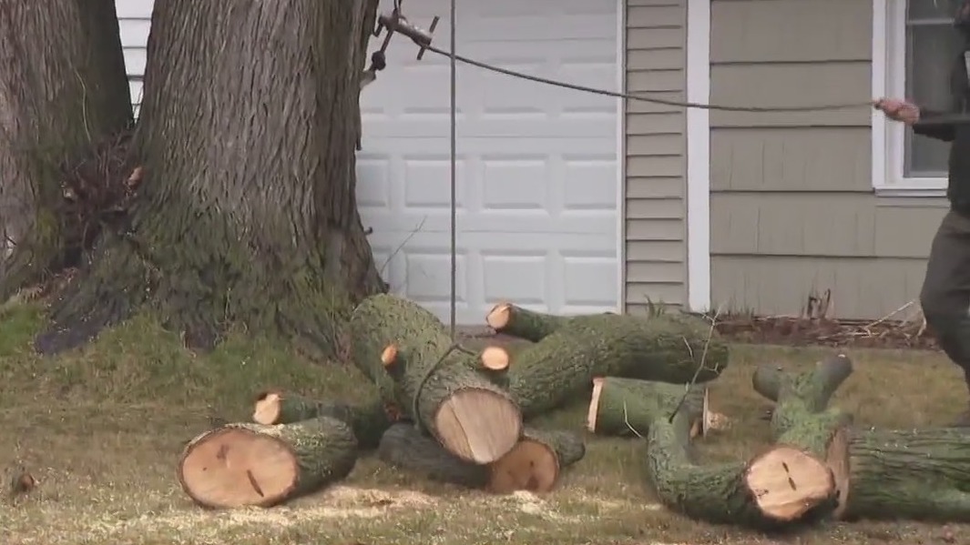 Wisconsin severe weather preparedness; experts say have a plan