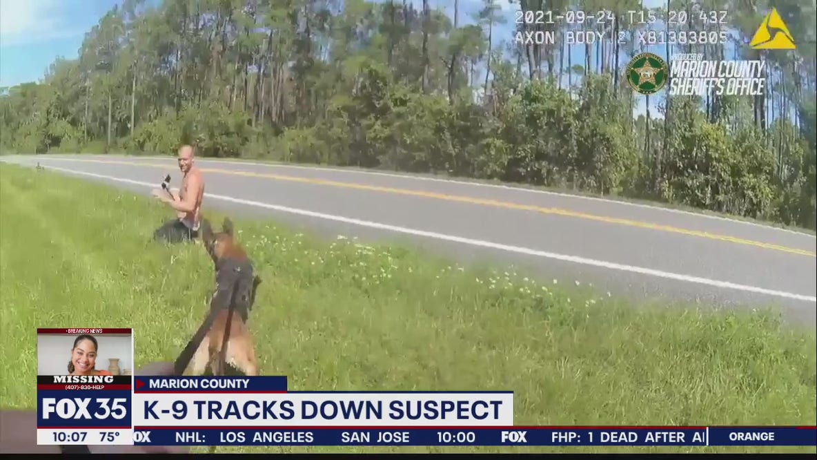 K-9 and deputy track down suspect through swampy, rough terrain