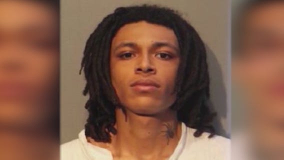 Suspect in Chicago cop's murder offered plea deal: report