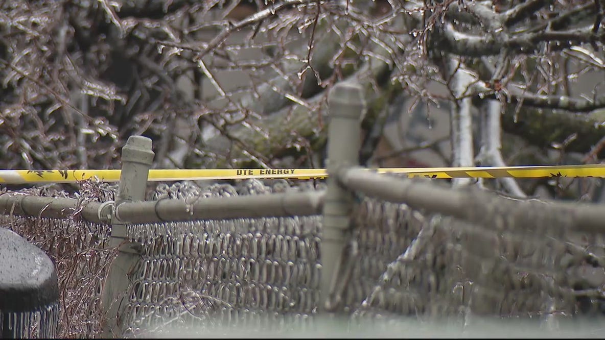 Fallen wires pose danger to pets; several dogs killed in Southeast Michigan