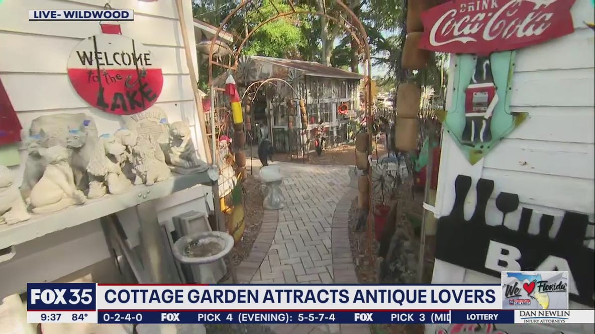 Cottage garden attracts antique lovers