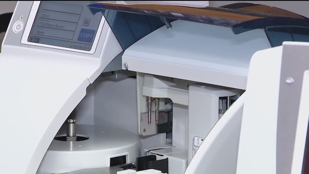 Inside the Lab Part 1: How forensic analysts at UF are solving wildlife crimes worldwide