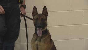 Local K9 officers receive life-saving body armor vests thanks to generous donation