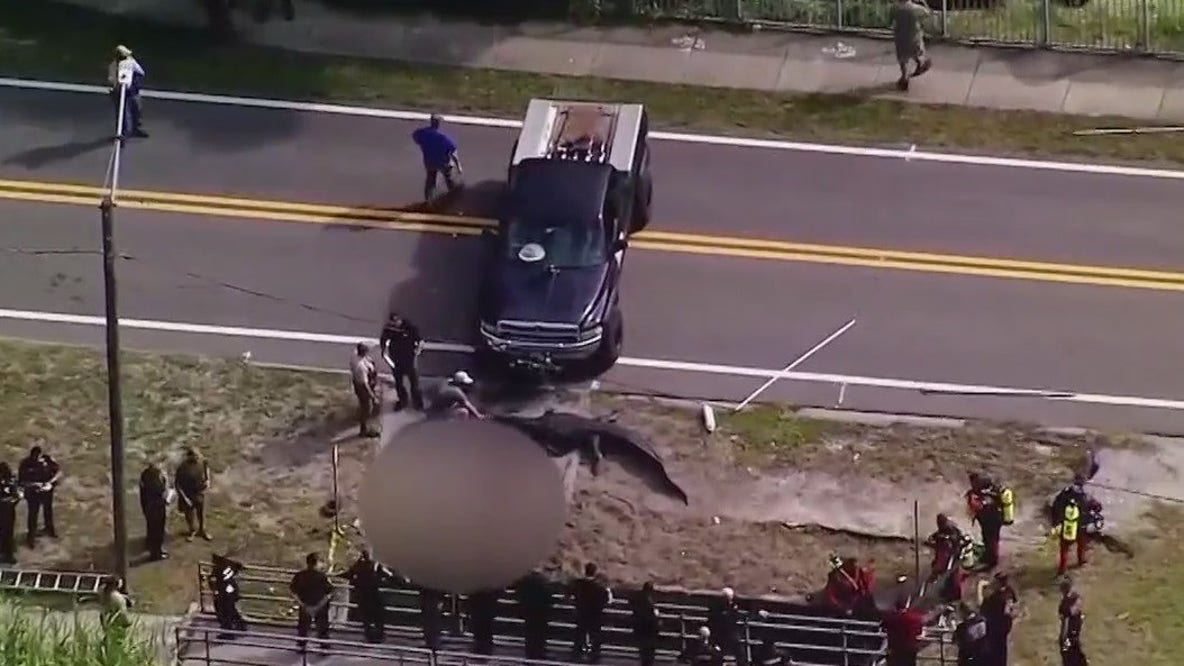 Florida woman killed by 14-foot alligator