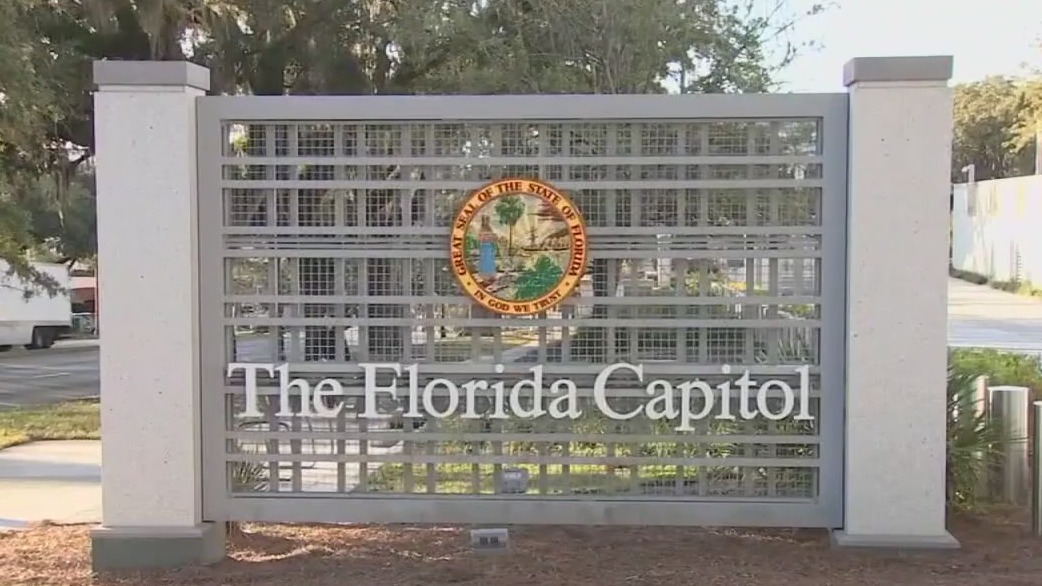 New Florida laws in 2024 FOX 13 Tampa Bay New Florida laws in 2024 FOX 13 Tampa Bay