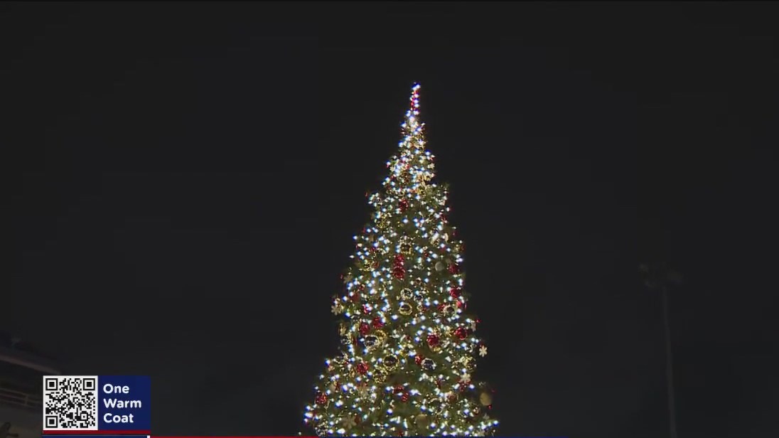 It's lit: Tree at Oakland's Jack London Square has lights on