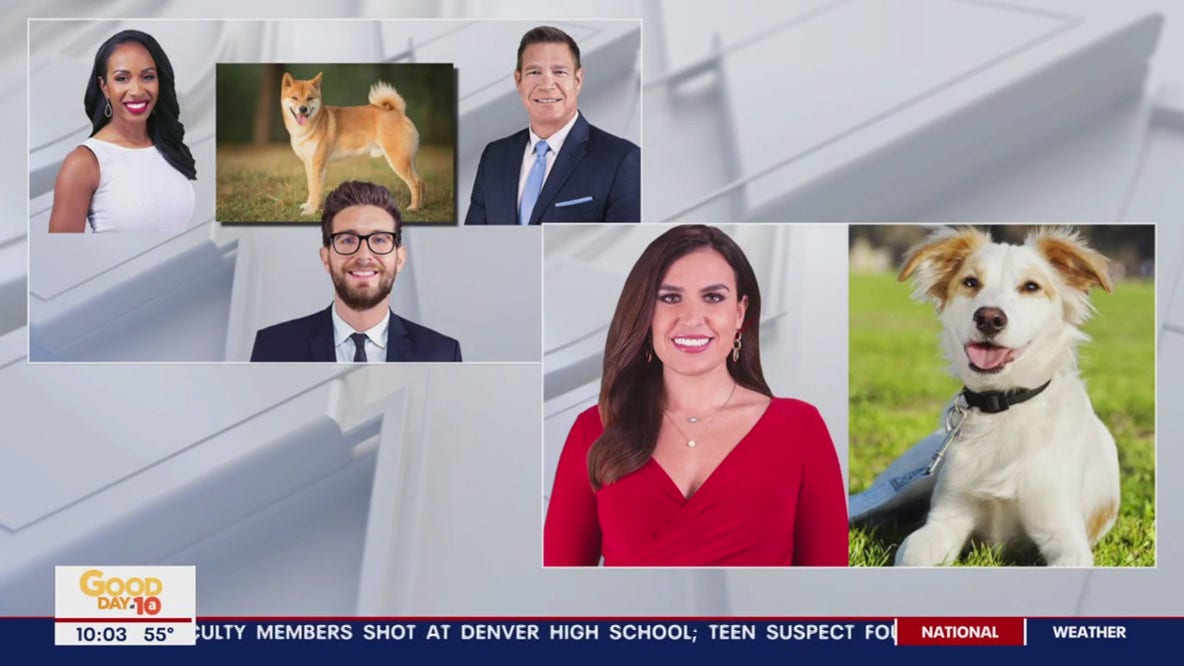 Which puppies are the Good Day DC anchors?