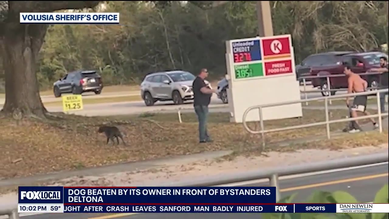 Bystanders fight Florida man accused of whipping dog with chain outside Deltona gas station
