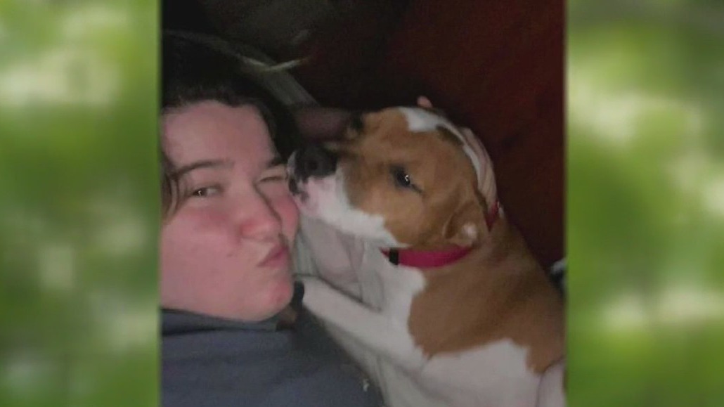 Fatal crash victim's family mourns