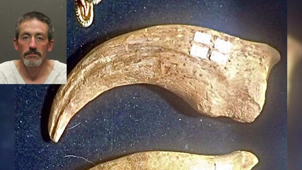 Man accused of stealing $25,000 dinosaur claw from Tucson gem show, police officials say