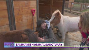 Carly visits Sammamish Animal Sanctuary where farm animals are stars of children's books! | Studio 13 Live