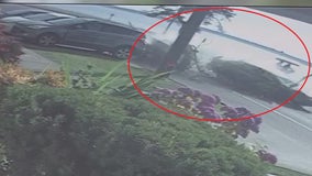 Surveillance video captures crash that sent car flying into Puget Sound waters