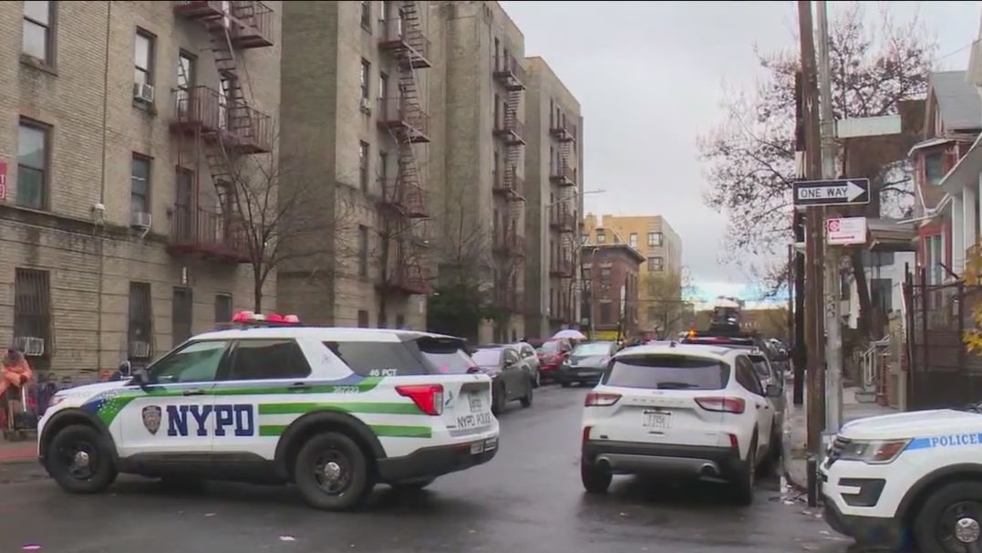 Bronx twins' deaths ruled homicides