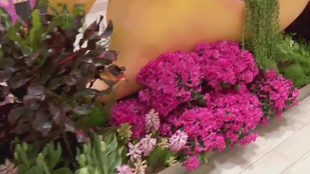 Elaborate floral displays bring the crowds to Galleria