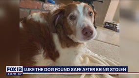 Stolen truck, dog returned to home in Buckley