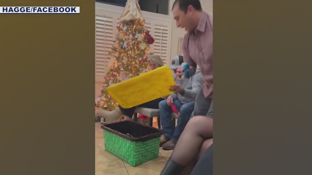 Unusual white elephant gift: Phoenix firefighter gives co-worker an iguana at holiday party