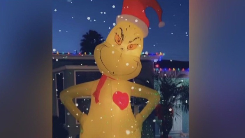 Real-life Grinch steals Christmas decoration