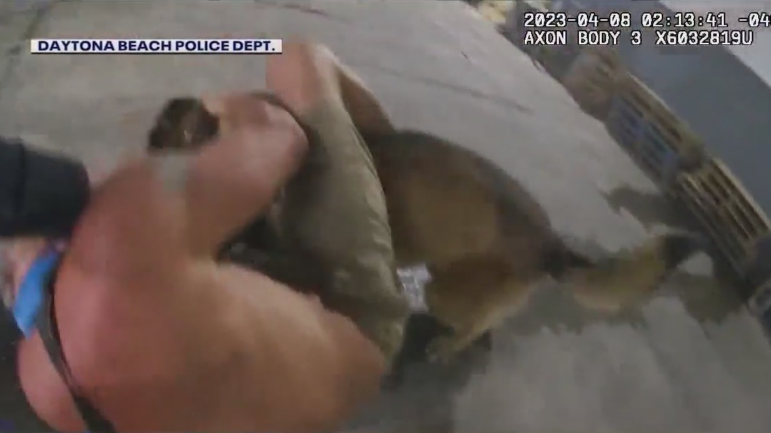 Arrest prompts questions of excessive force