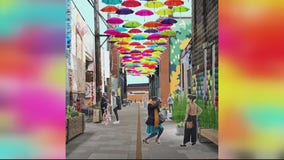 Phase 2 of alley beautification begins in Detroit