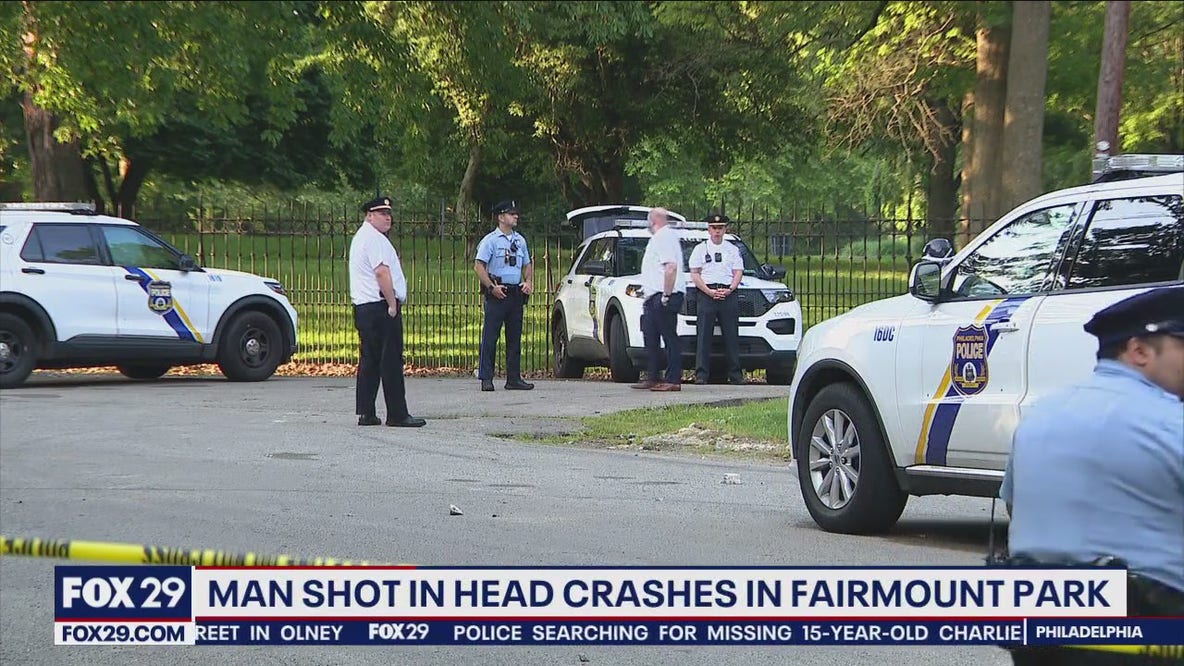 Man shot in the head crashes into fences and tree in Fairmount Park