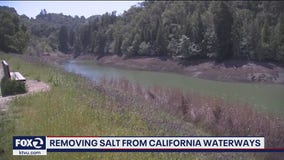 Saltwater pushes its way into California's waterways