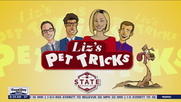Liz's Pet Tricks for Friday June 2