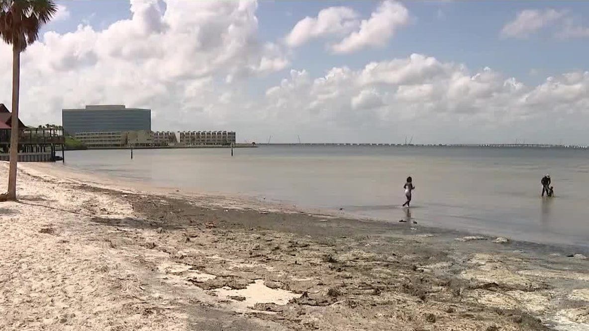 26 cases of flesh-eating bactera in Florida
