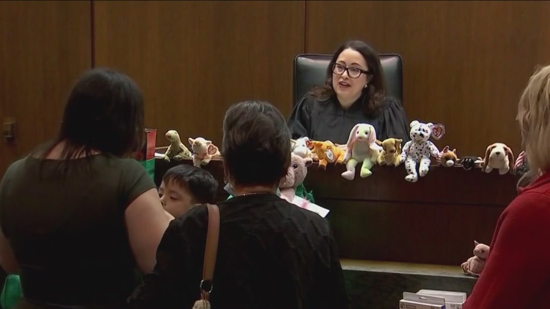 11 kids adopted at Chicago's Daley Center Courthouse on National Adoption Day