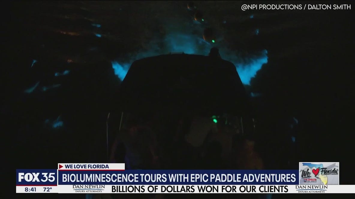 See stunning bioluminescence with paddle tours