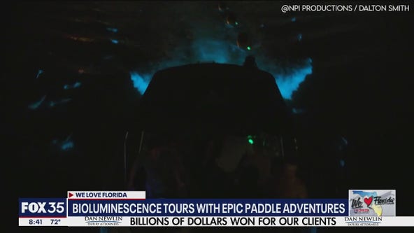 See stunning bioluminescence with paddle tours