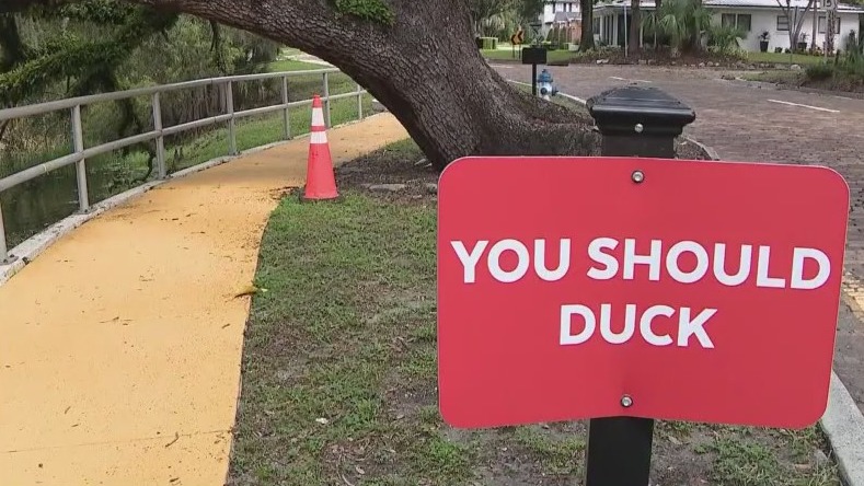 Sassy signs installed under low-hanging tree
