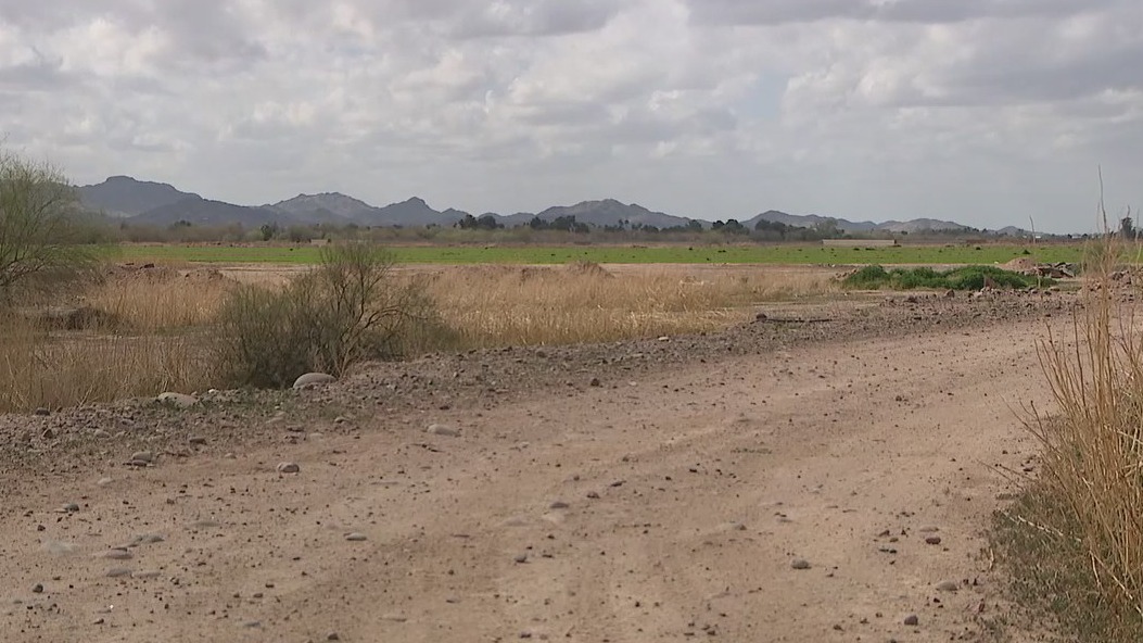 Teenager, 2 men found dead in vacant Phoenix lot, police say